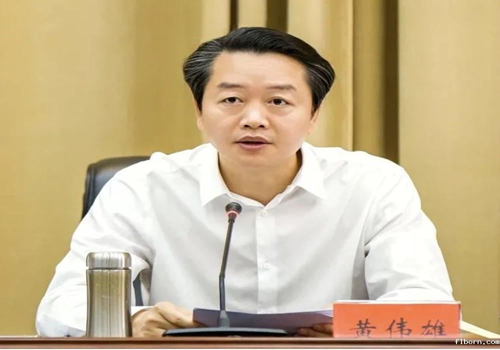 1699098332903514.jpg 7.jpg