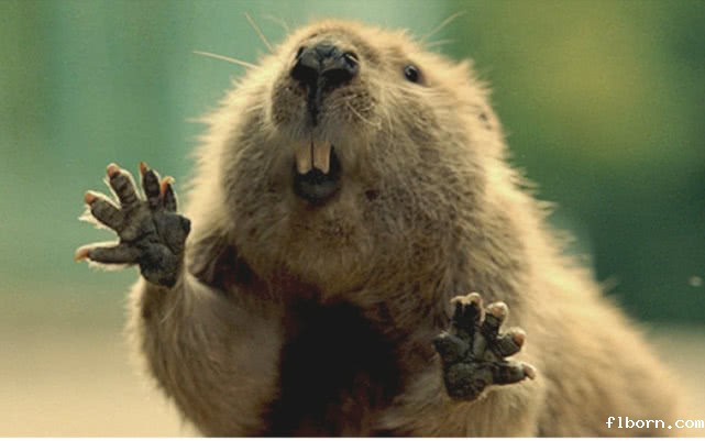 1741789465844381.jpg t01cdca94f4e427fe83.jpg