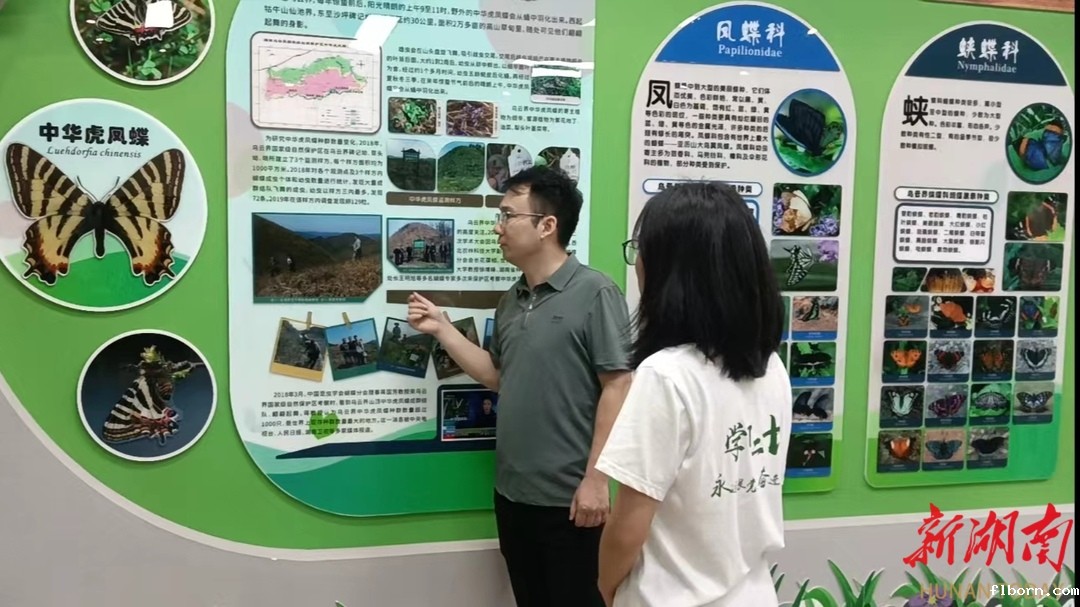 1755956802978419.jpg 1.jpg