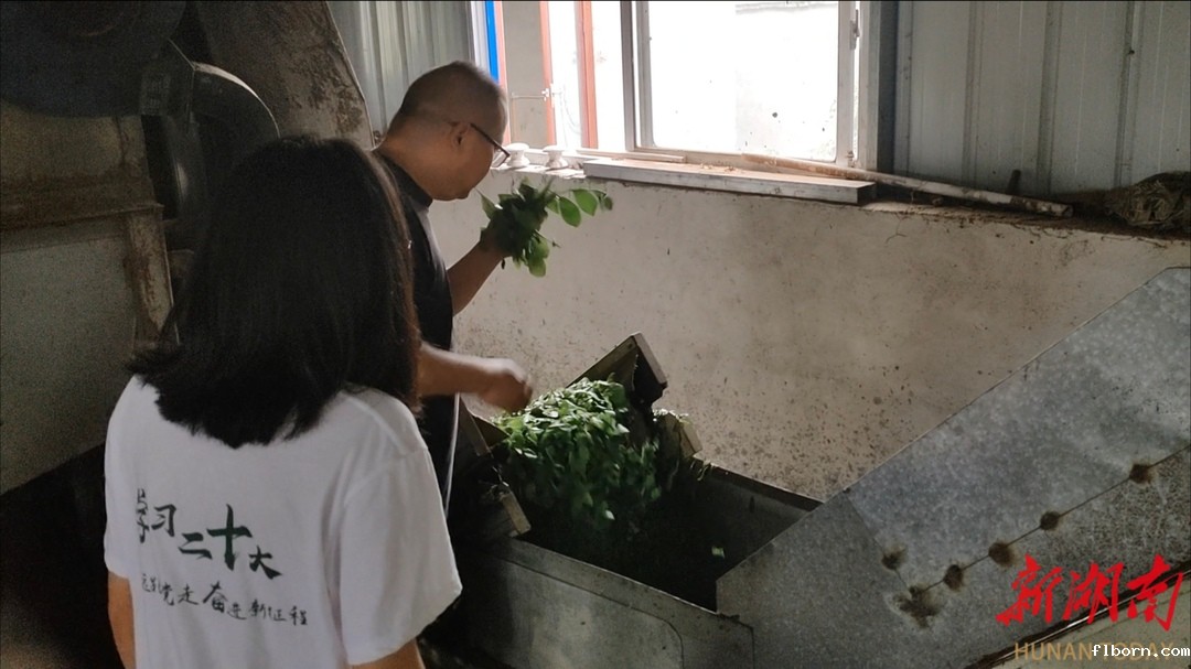 1755956881390045.jpg 4.jpg