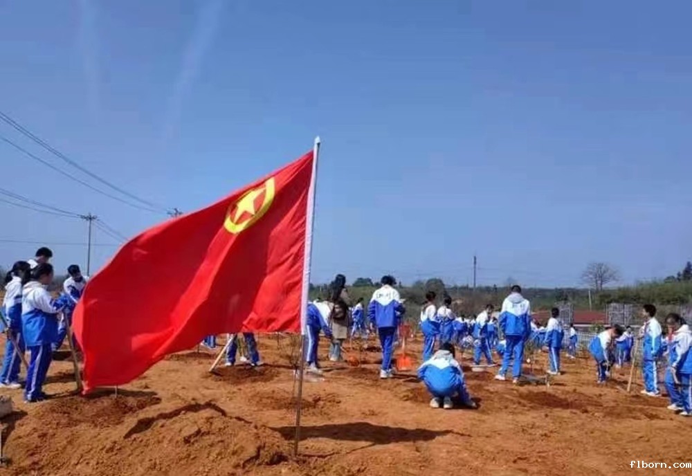 1711360550275474.jpg 3.jpg