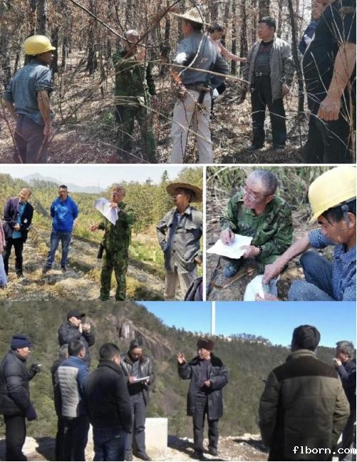 1743227245518453.jpg 调节纠纷.jpg